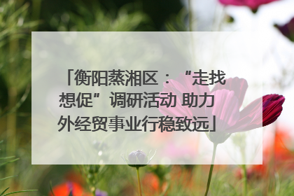 衡阳蒸湘区：“走找想促”调研活动 助力外经贸事业行稳致远